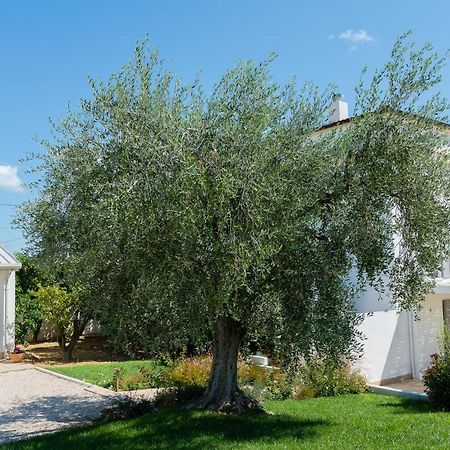 B&B Casale Savini Ortona Exteriér fotografie