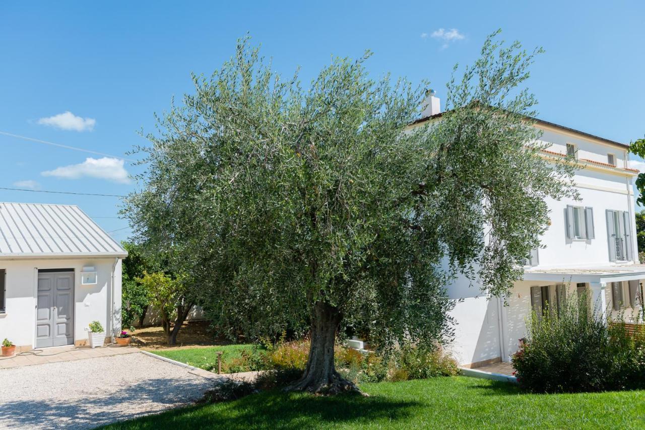 B&B Casale Savini Ortona Exteriér fotografie
